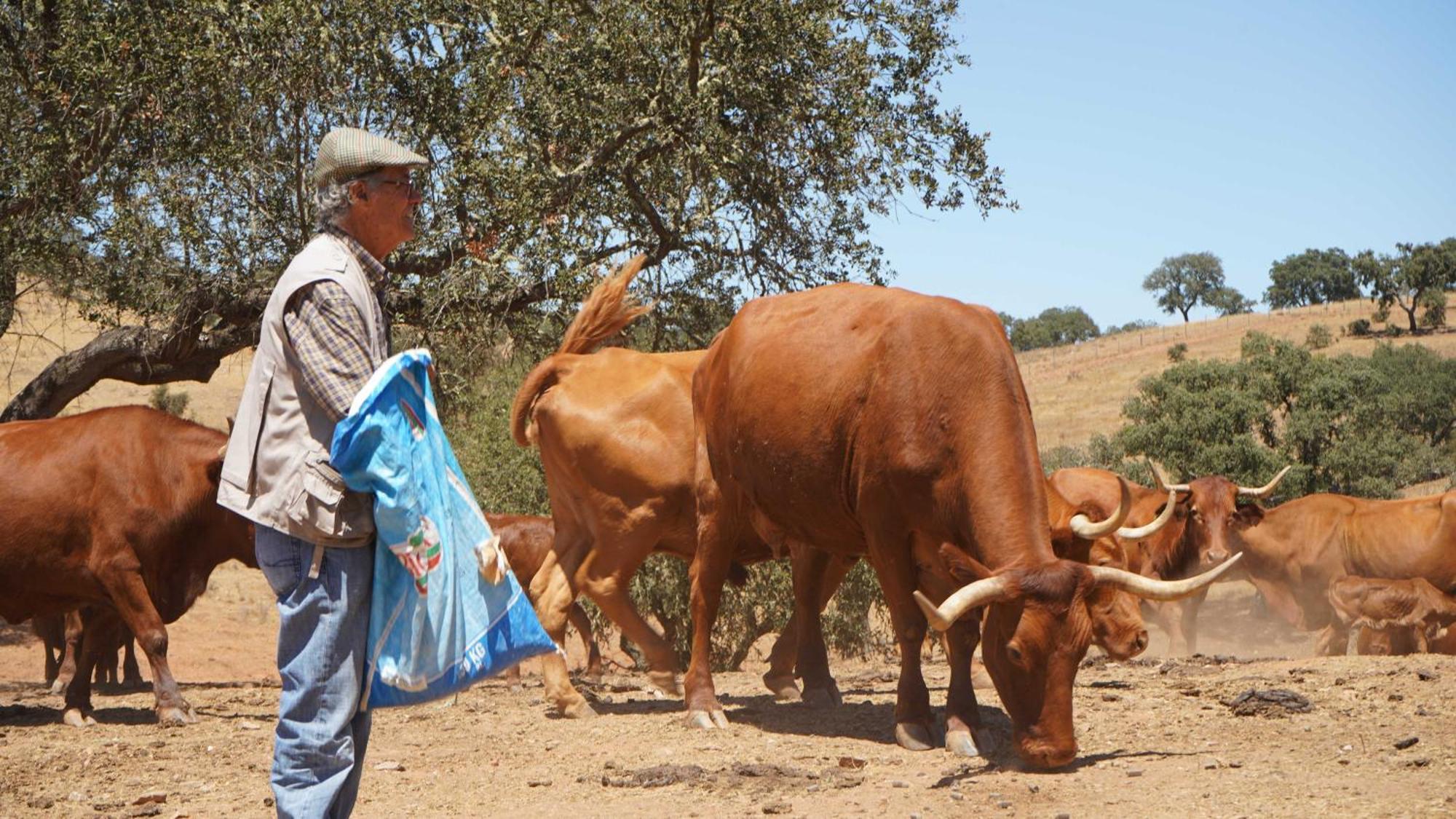 Agroturismo Xistos Cerca Exterior foto